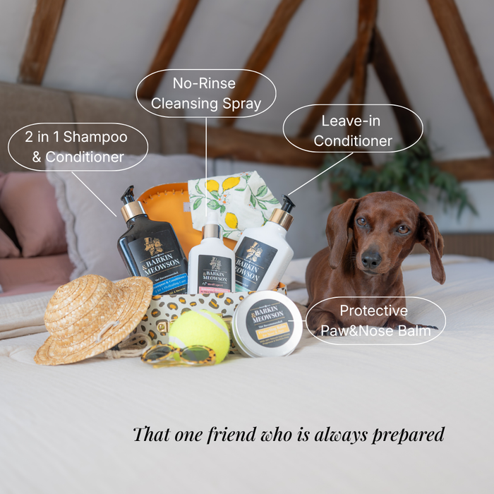 Pet Travel Set