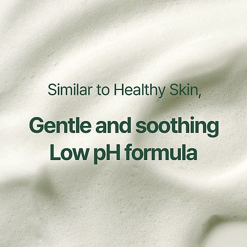 Pyunkang Yul Calming Acne Cleansing Foam 3.38 Fl. Oz, 100ml