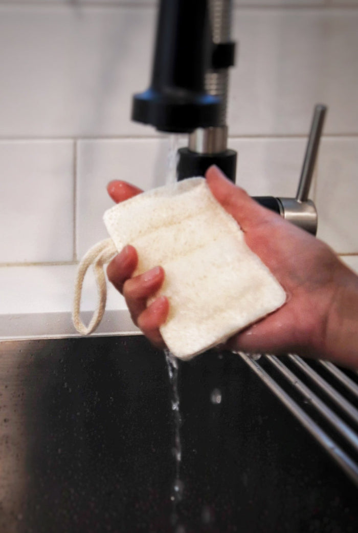 loofah dish sponge