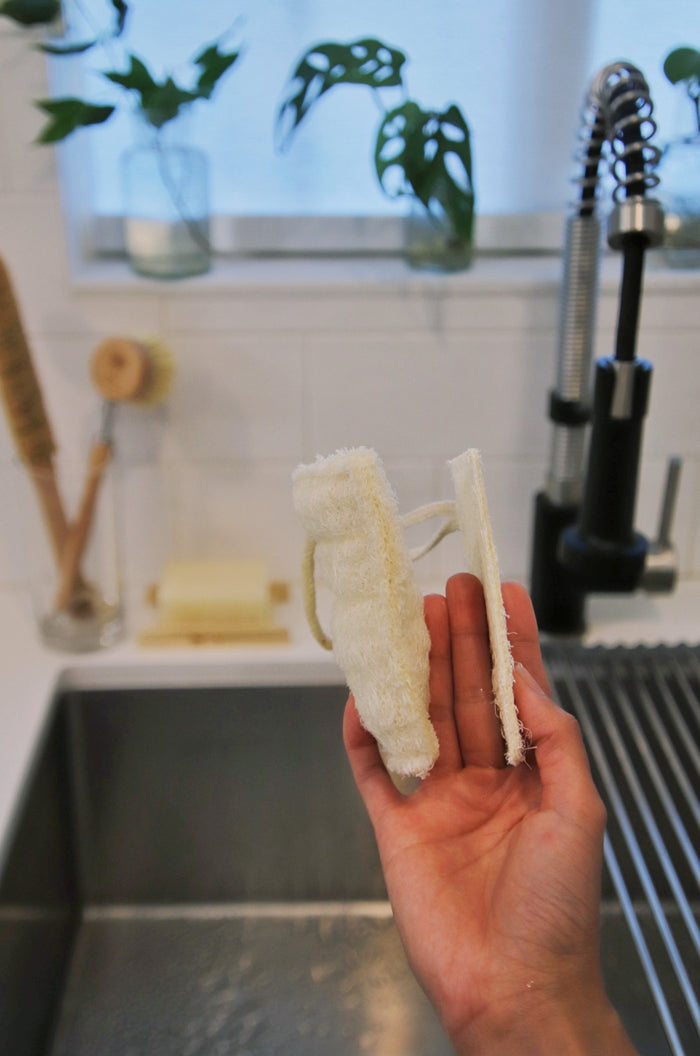 plastic free dish sponge