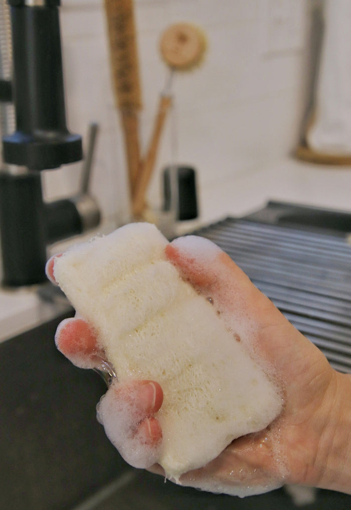 loofah sponge