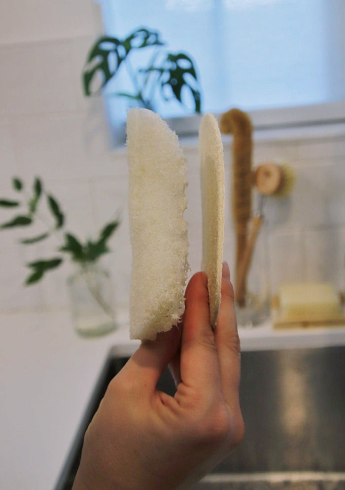 zero waste sponge