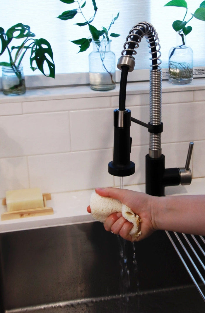 loofah eco sponge