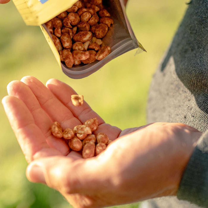 sealable bag of firepot harissa peanuts