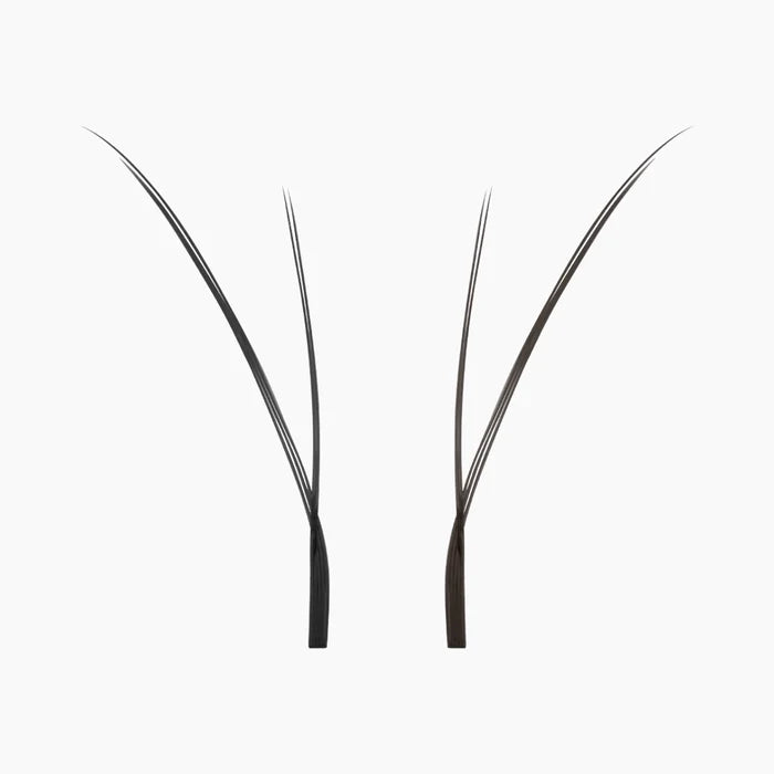 Close-up of two individual black Kitten Lash extension fans on a white background, highlighting their fine tips and lightweight fibres.