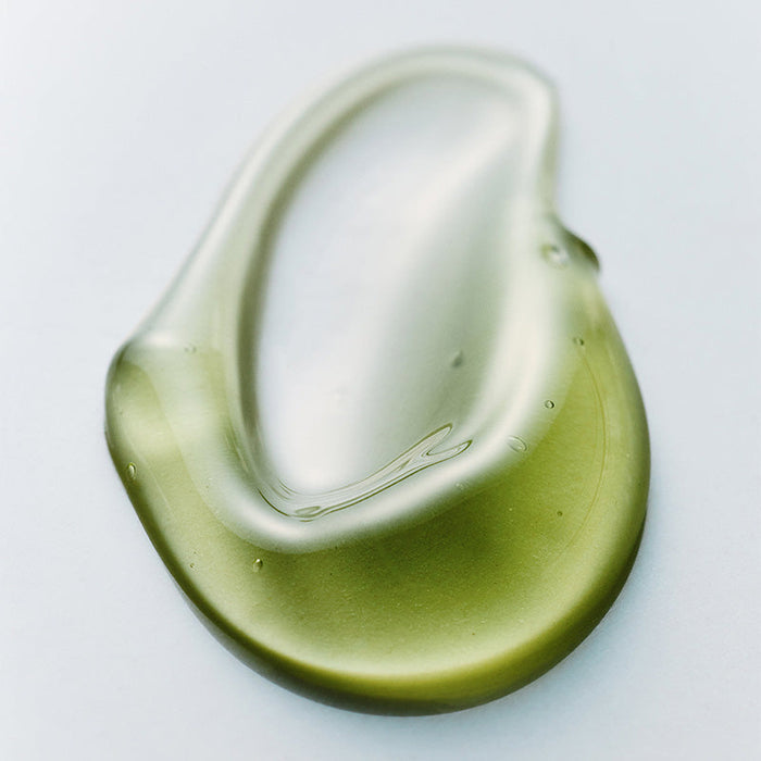 Phyto Brew Matcha Ampoule