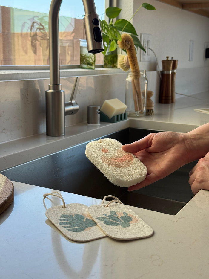 Pop Up Dish Sponges 3-Pack