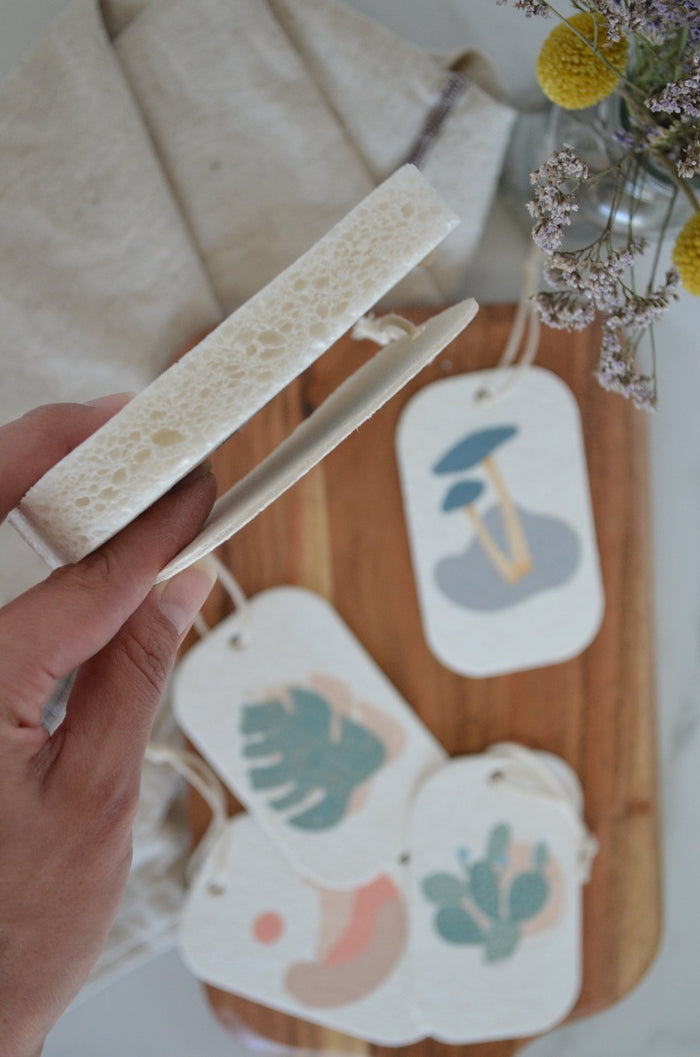pop up sponge