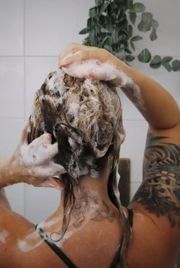 Shampoo Bars