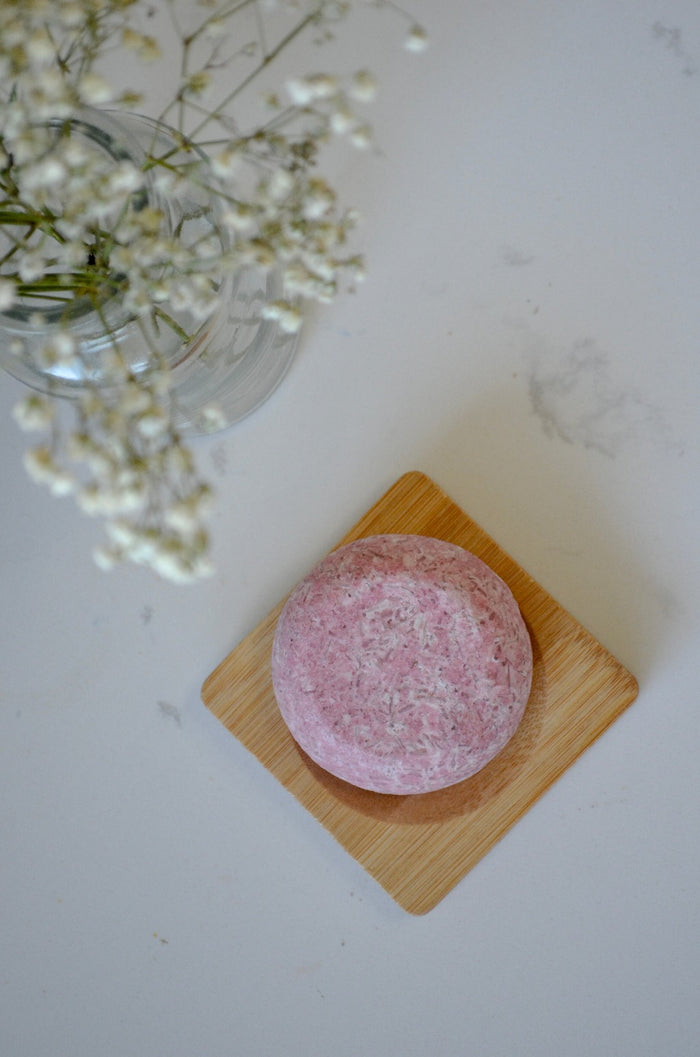 Shampoo Bars