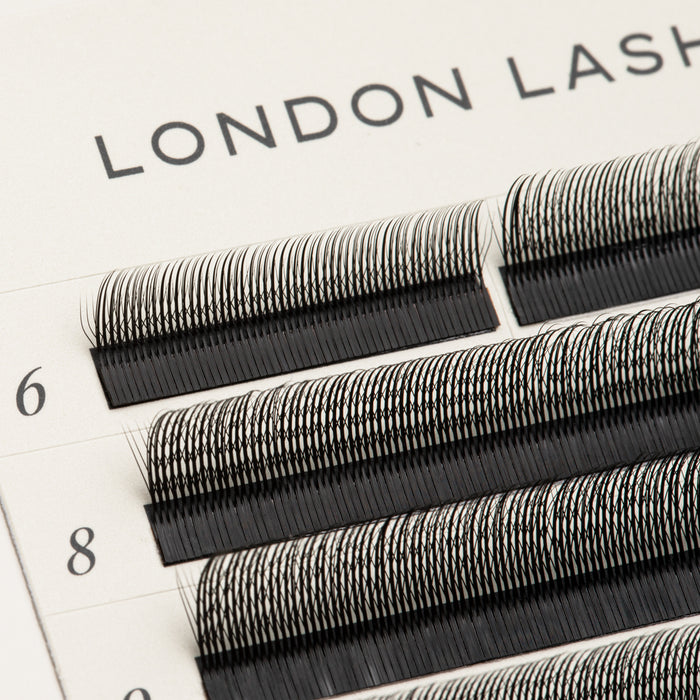SpeedYY Lashes - 3DW with Spike