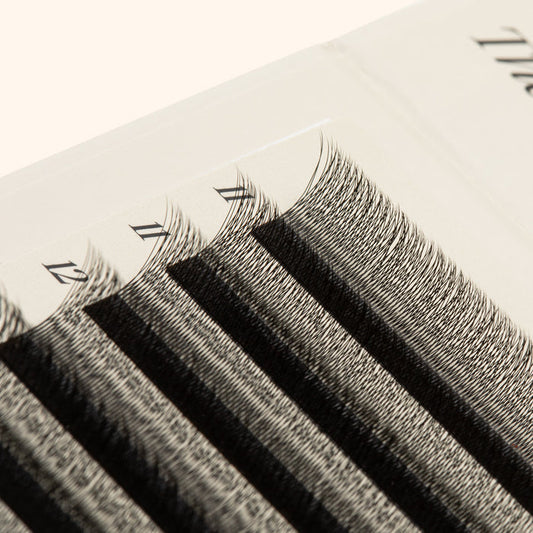 SpeedYY Lashes - 3DW