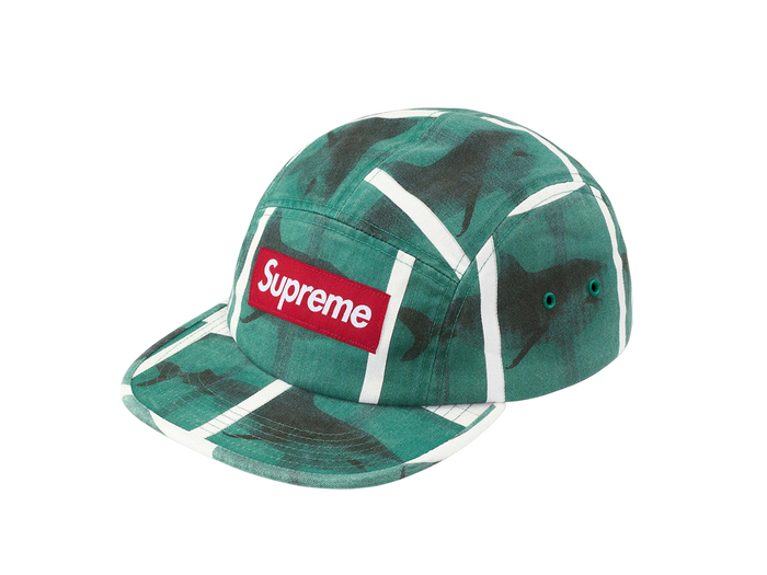 Supreme x Damien Hirst Camp Cap (Forest Green)