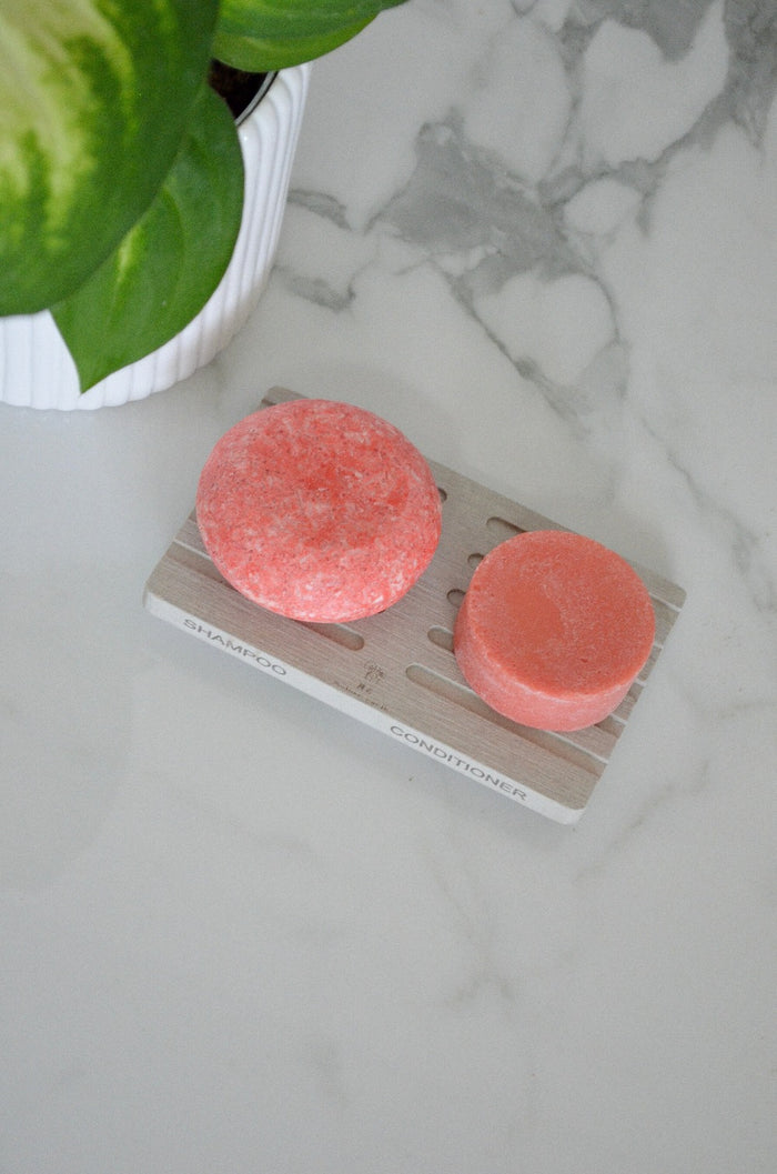 Shampoo and Conditioner Bars