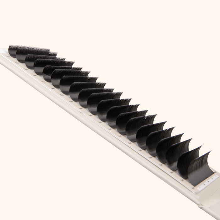 Volume Kensington Lashes 0.07 - 20 Lash Lines